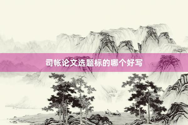 司帐论文选题标的哪个好写