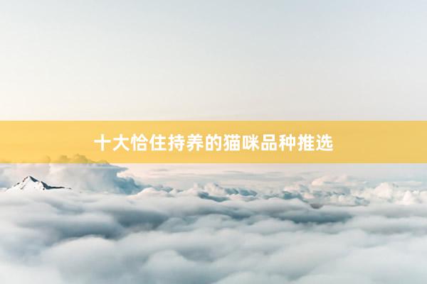 十大恰住持养的猫咪品种推选