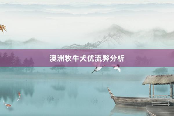 澳洲牧牛犬优流弊分析